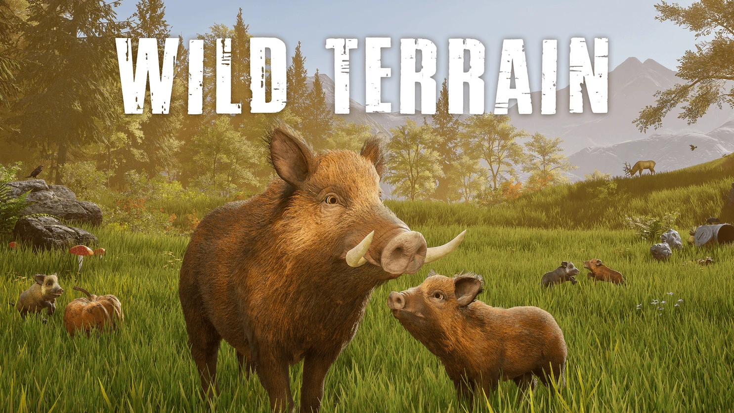 Wild Terrain